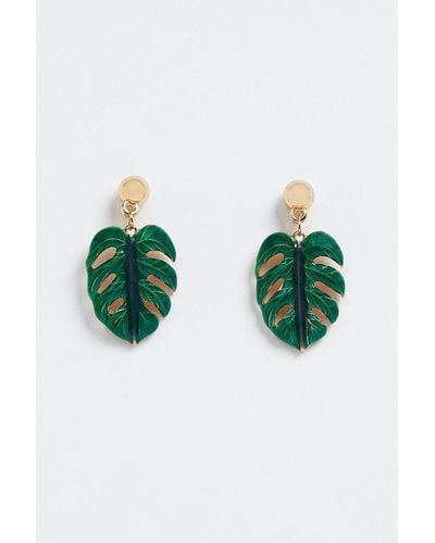 Oasis Resin Palm Leaf Earrings - Green