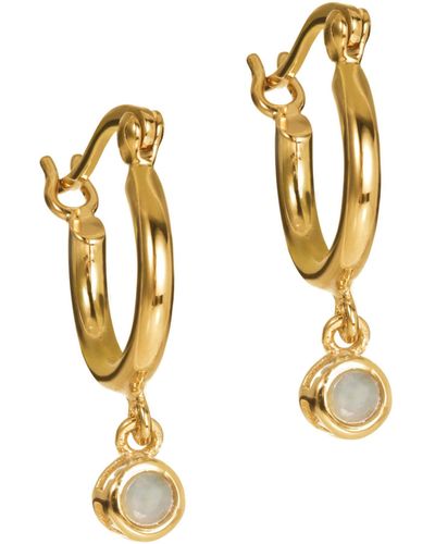 The Fine Collective 18ct Gold Plated Sterling Silver Amazonite Drop Hoop Earrings - Metallic