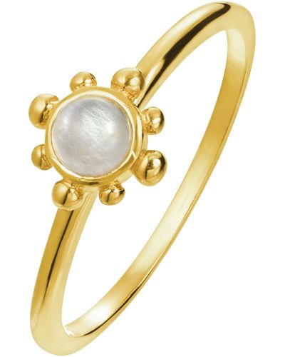 The Fine Collective 18ct Gold Plated Sterling Silver Moonstone Ring - Yellow