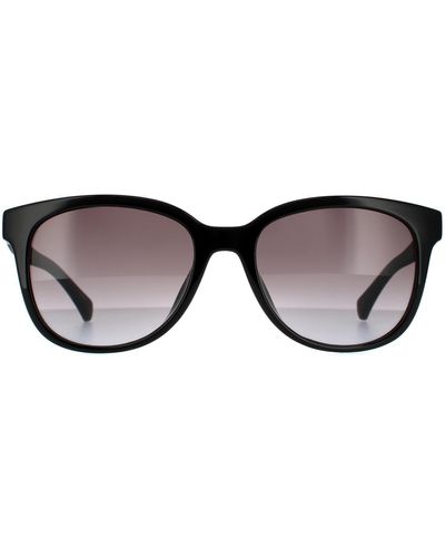 Calvin Klein Round Shiny Black Grey Gradient Sunglasses - Brown