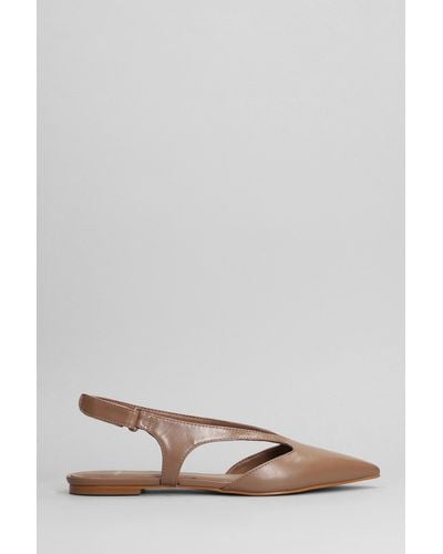 Carrano Ballet Flats In Brown Leather - Multicolor