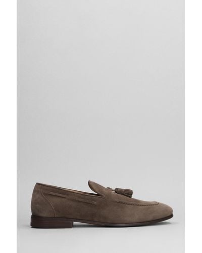 Henderson Loafers In Brown Suede - Gray