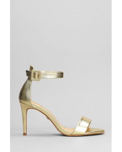 Carrano Sandals In Gold Leather - Multicolor