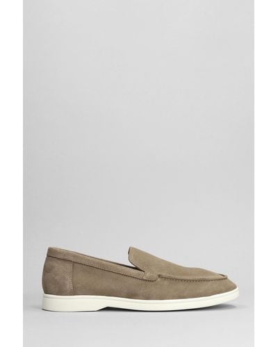 National Standard Edition 11 Low Loafers In Brown Suede - Gray