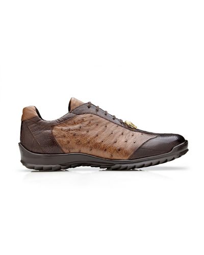 Belvedere Designer Shoes Men's Lago Navy Genuine Alligator Oxfords 14010  (BV2319) – Dellamoda