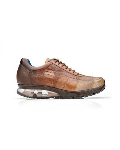 Belvedere hotsell shoes sale