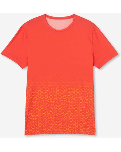 Derek Rose T-shirt Robin 9 Pima Cotton - Orange