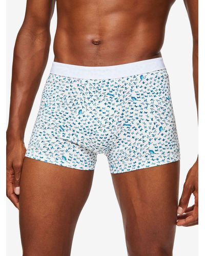 Derek Rose Boxer Briefs Birds Pima Cotton Stretch - Blue