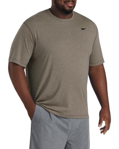 Reebok Big & Tall Performance Perfect T-shirt - Gray