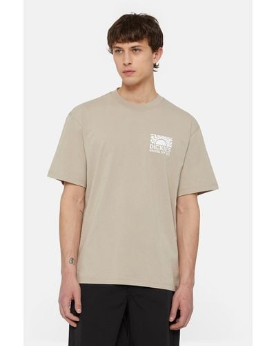 Dickies T-Shirt Manches Courtes Saltville - Neutre