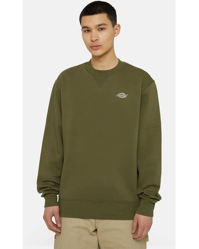 Dickies Summerdale Sweatshirt - Grün