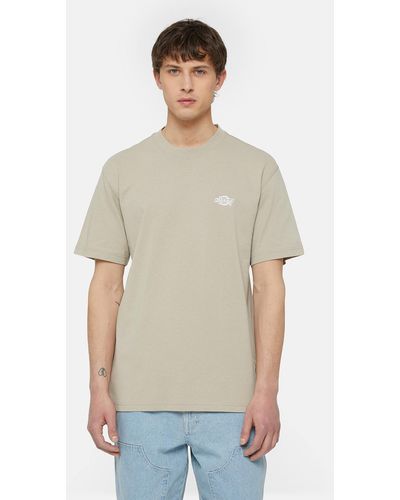 Dickies T-Shirt Manches Courtes Summerdale - Blanc
