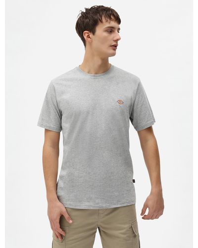 Dickies Mapleton Kurzarm-T-Shirt - Grau