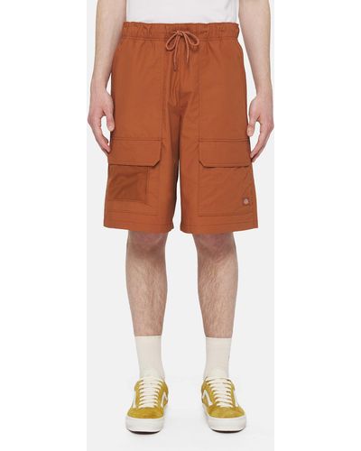 Dickies Fishersville Shorts - Orange
