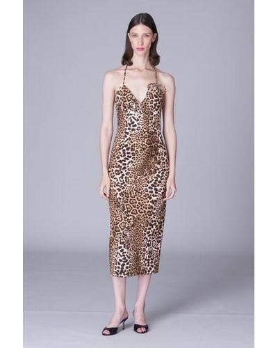 Carolina Herrera Leopard Print Cotton-blend Midi Dress - Multicolor