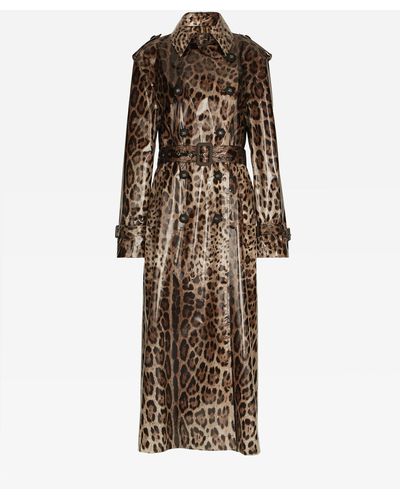 Dolce & Gabbana Trench in raso spalmato stampa leopardo - Marrone