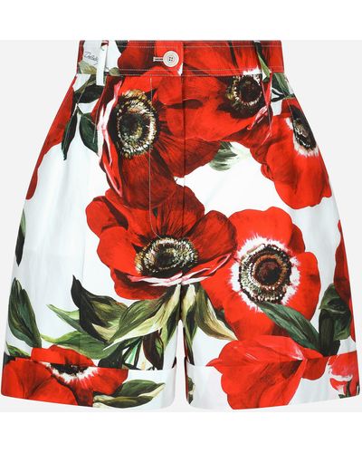 Dolce & Gabbana Shorts de popelina con estampado de anémonas - Rojo