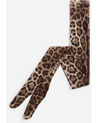 Dolce & Gabbana Leopard print tights in tulle - Marrón