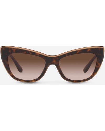 Dolce & Gabbana New print sunglasses - Mehrfarbig
