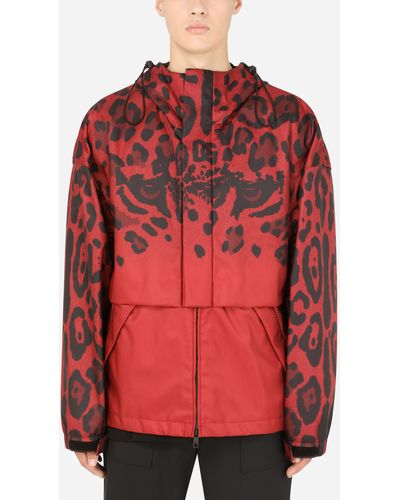 Dolce & Gabbana Parka tejido técnico estampado leopardo - Rojo