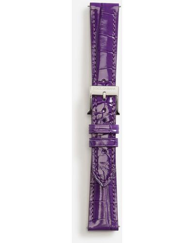 Dolce & Gabbana Alligator Strap With Buckle And Hook In Steel - Purple