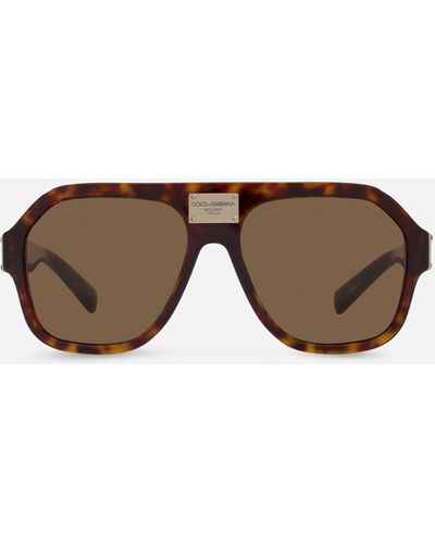 Dolce & Gabbana DG Plaque Sunglasses - Braun