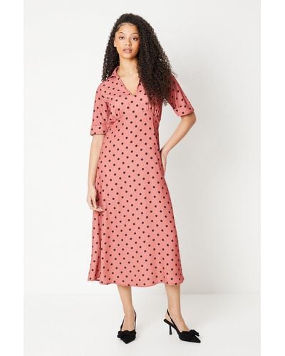 Dorothy Perkins Tall Spot Collar Midi Dress - Pink