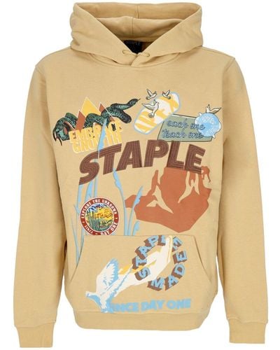 Staple Lightweight Hooded Sweatshirt Hemlock Graphic Hoodie - Multicolor