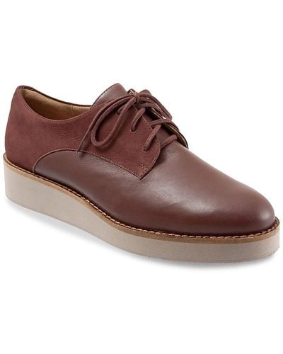 Softwalk willis sale wedge oxford