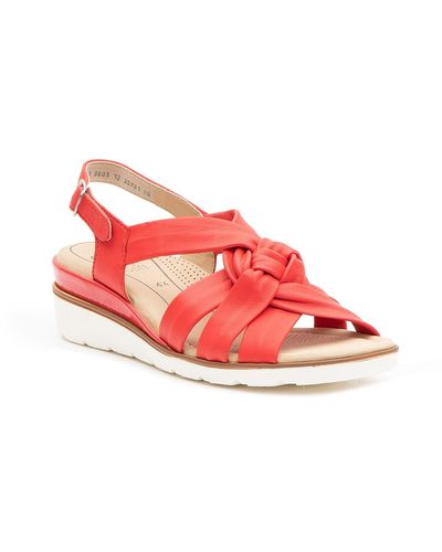 Ara sandals sale sale
