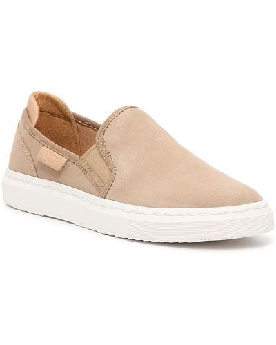 UGG Alameda Slip-on Sneaker - Brown