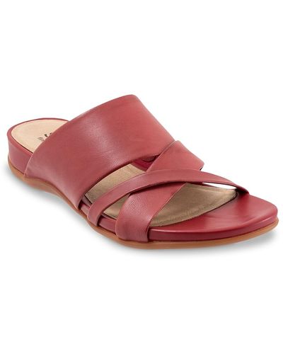 Softwalk Taraz Sandal - Red