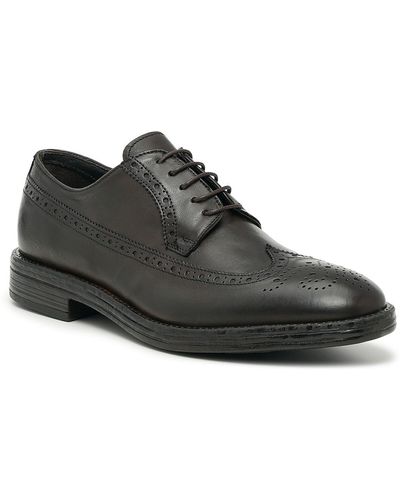 Coach and Four Scuderia Wingtip Oxford - Black