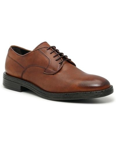Coach and Four Lambda Oxford - Brown