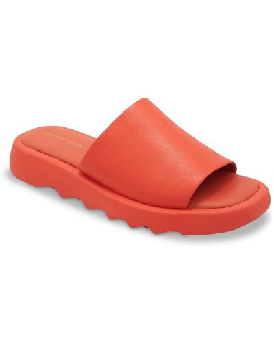 Andre Assous Jessa Platform Sandal - Red