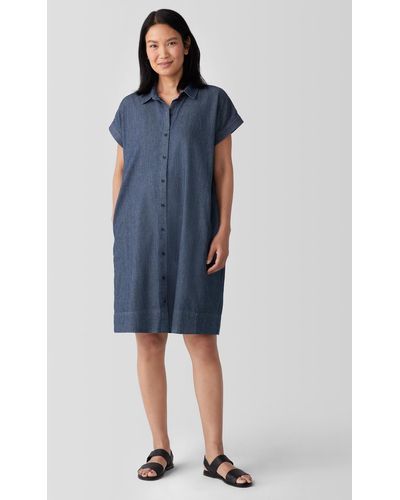 Eileen Fisher Airy Organic Cotton Twill Shirtdress - Blue