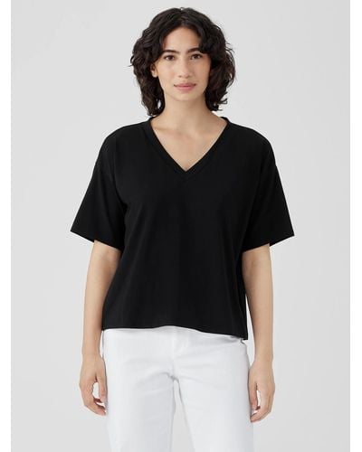 Eileen Fisher Plus Size Organic Pima Cotton Jersey V-Neck Short