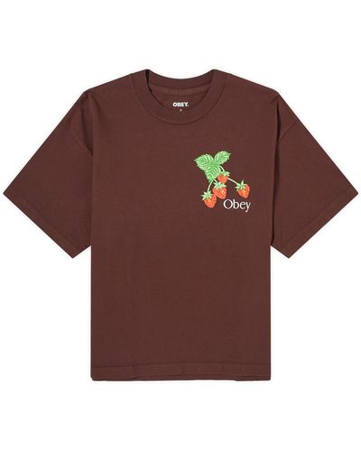 Obey Strawberry Bunch T-Shirt - Brown