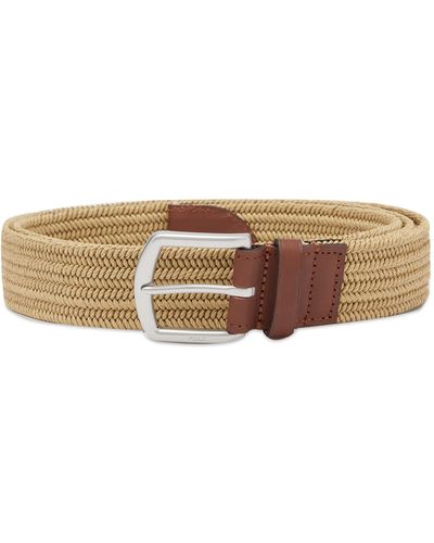 Polo Ralph Lauren Woven Stretch Belt - Brown