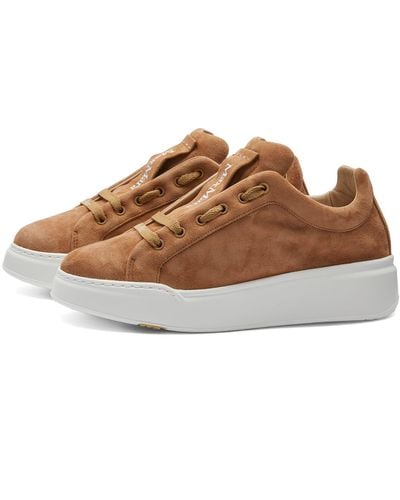 Max Mara Maxisf Cour Sneakers - Brown