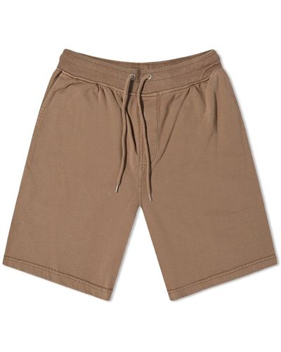COLORFUL STANDARD Classic Organic Sweat Shorts - Brown