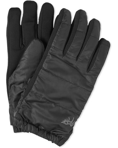 Elmer Gloves Primaloft Glove - Black