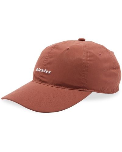 Dickies Premium Collection Ball Cap - Brown