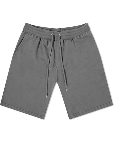 COLORFUL STANDARD Classic Organic Sweat Shorts - Gray