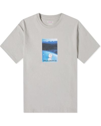 POLAR SKATE Core T-Shirt - Gray
