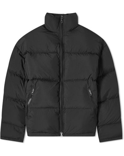 Cole Buxton Insulated Cropped Puffer Jacket - Black