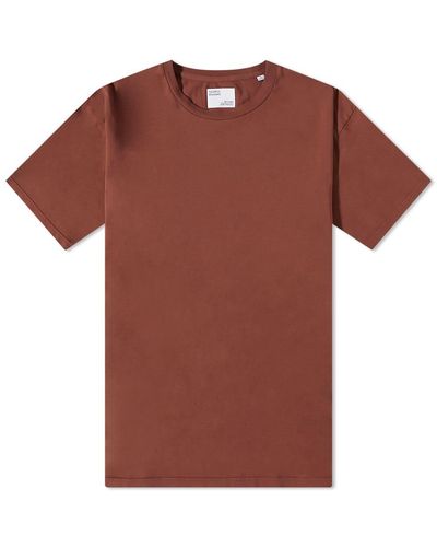COLORFUL STANDARD Classic Organic T-Shirt - Brown