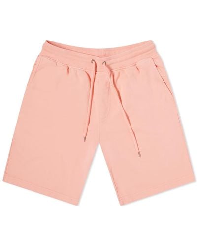 COLORFUL STANDARD Classic Organic Sweat Shorts - Pink