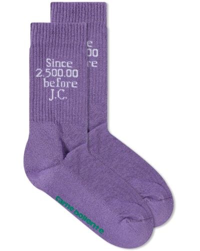 Carne Bollente Chaussex Socks - Purple