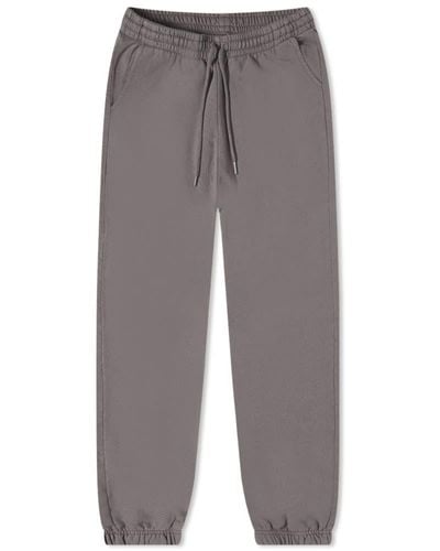 COLORFUL STANDARD Classic Organic Sweat Pant - Grey
